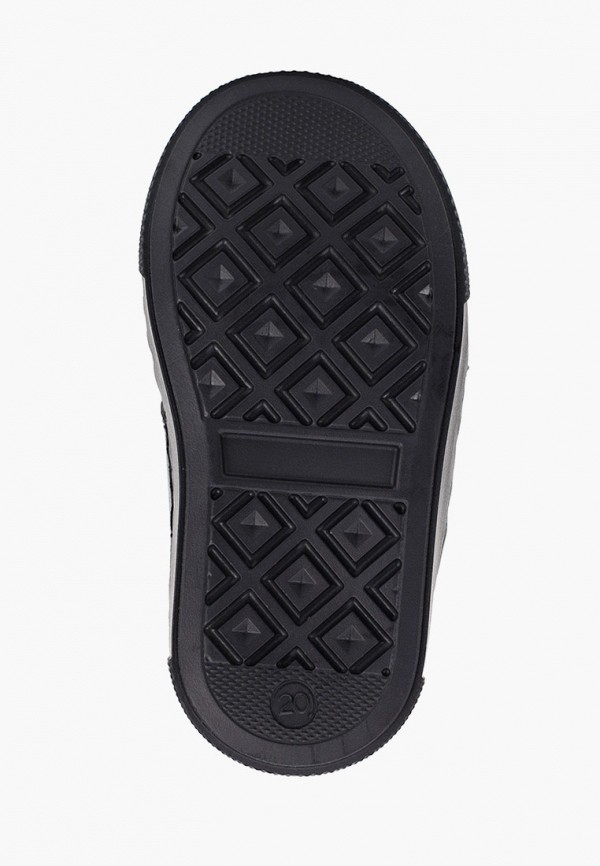 фото Кеды lovely puppy