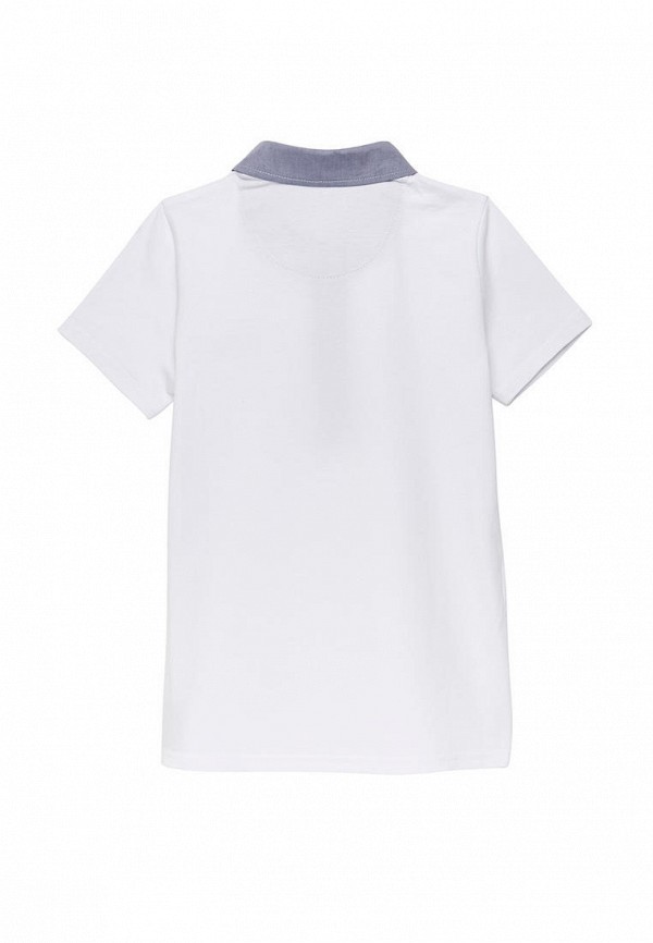 фото Поло cookie