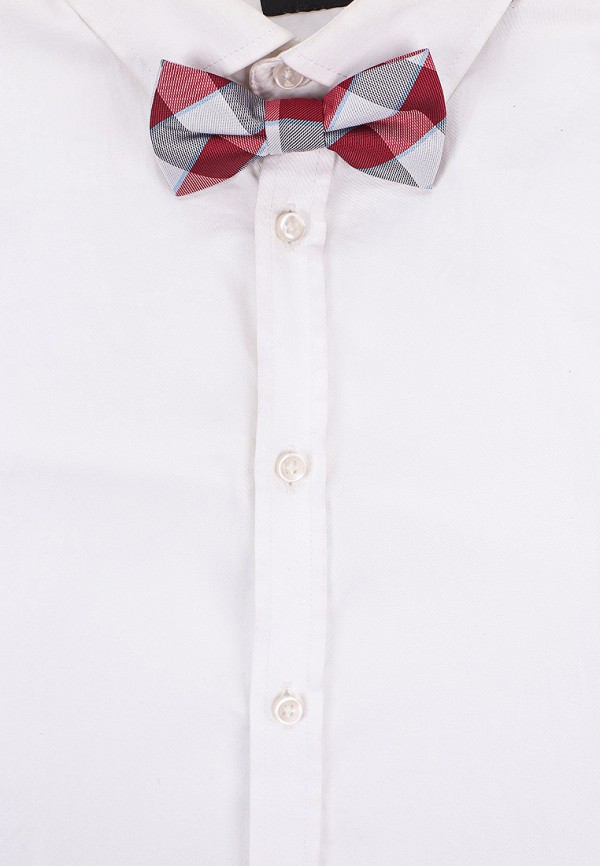 Бабочка Stenser разноцветный, размер 00, фото 3