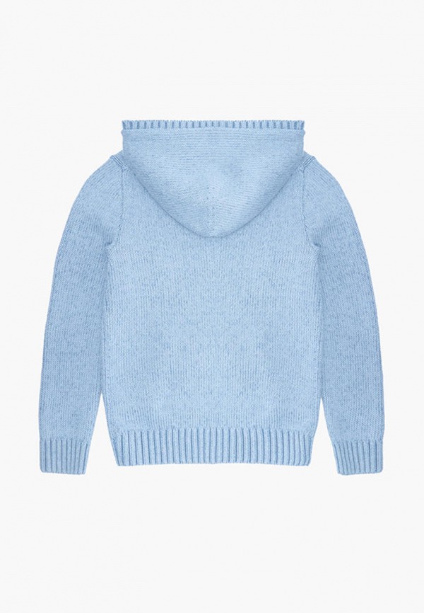 

Худи Polo Ralph Lauren, Голубой, Polo Ralph Lauren MP002XB00VUK