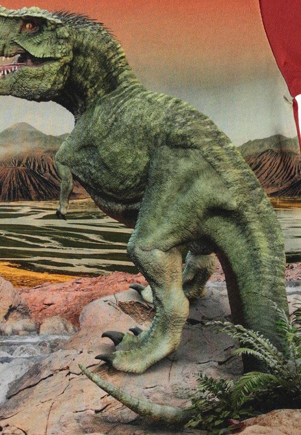 фото Футболка molo