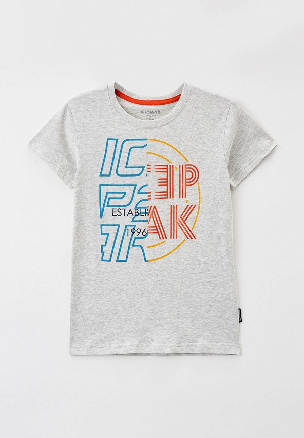 

Футболка Icepeak, Серый