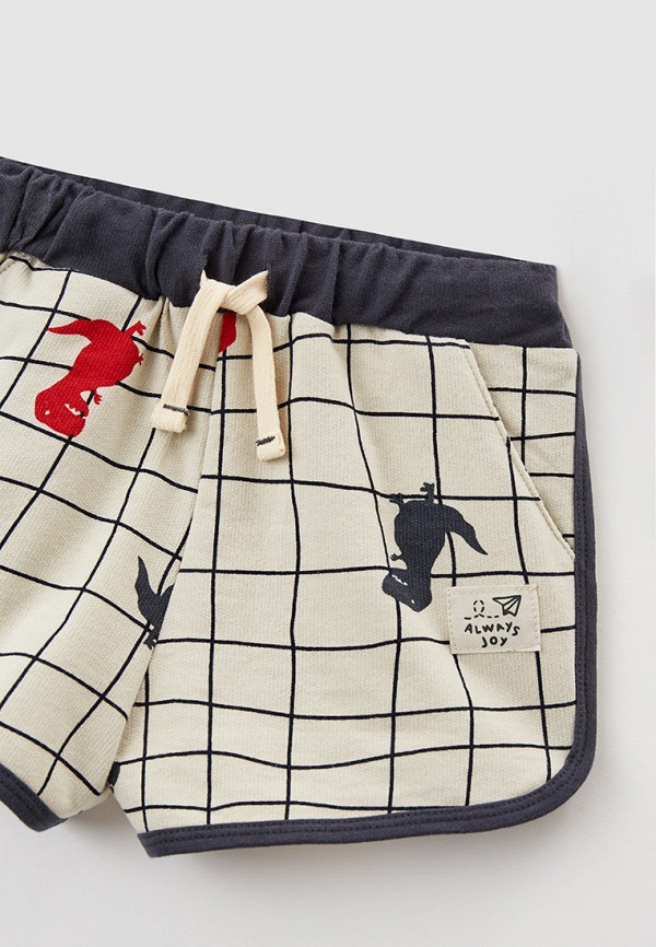 фото Шорты спортивные sela