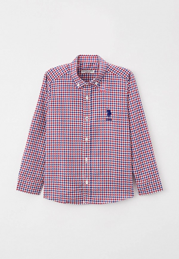 

Рубашка U.S. Polo Assn., Разноцветный