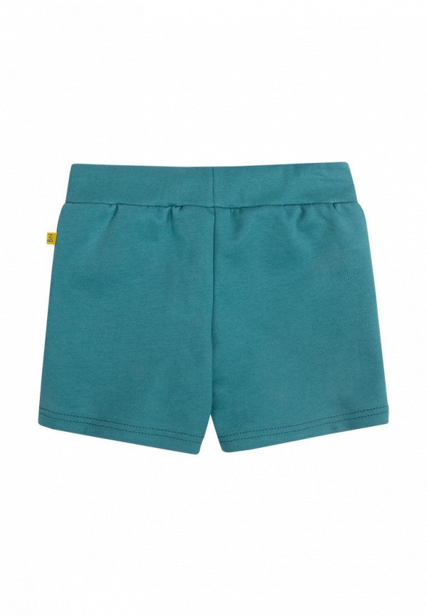 фото Шорты спортивные bossa nova