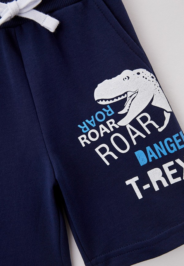 фото Шорты спортивные roxyfoxy