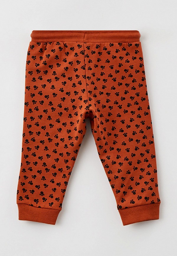 фото Брюки спортивные coccodrillo