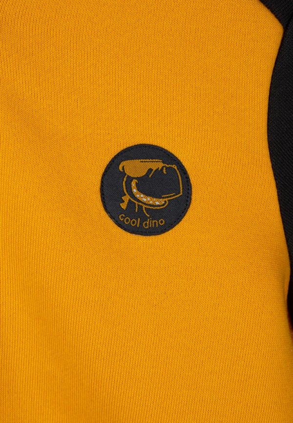 фото Толстовка gloria jeans