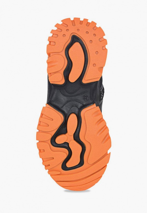 фото Ботинки t.taccardi