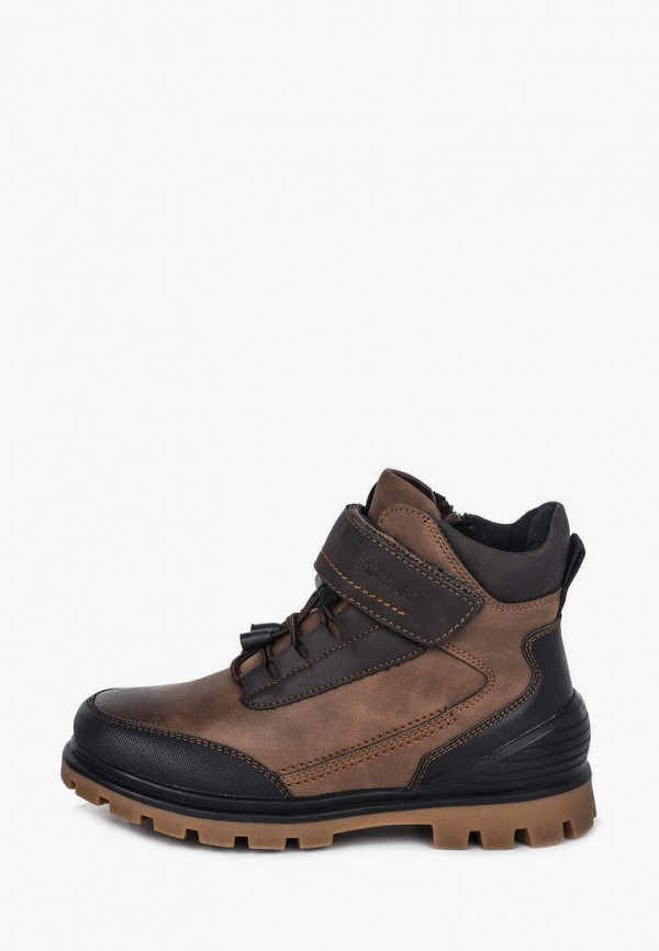 Ботинки для мальчика T.Taccardi цвет коричневый 