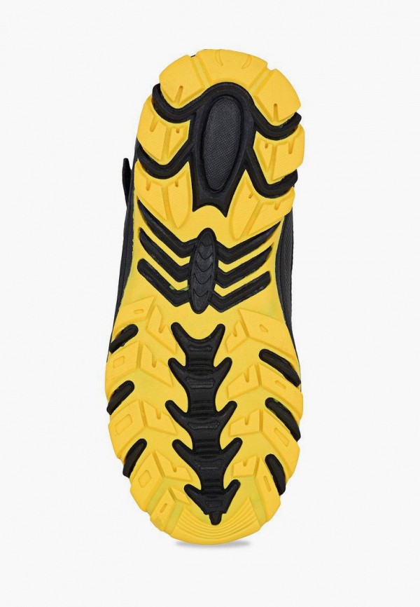 фото Сапоги t.taccardi