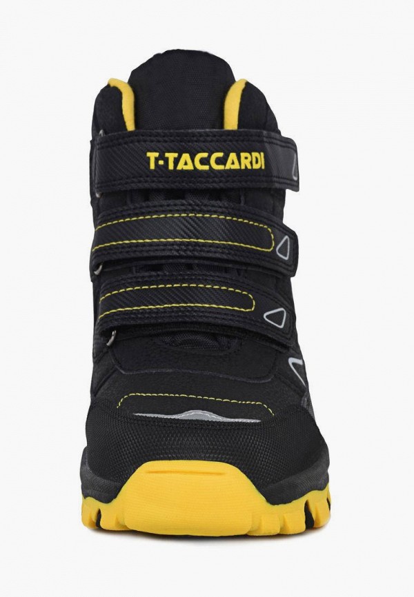 Сапоги T.Taccardi Сапоги T.Taccardi фото