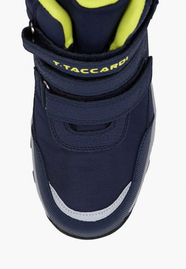 фото Сапоги t.taccardi