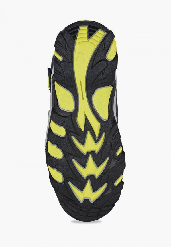 фото Сапоги t.taccardi