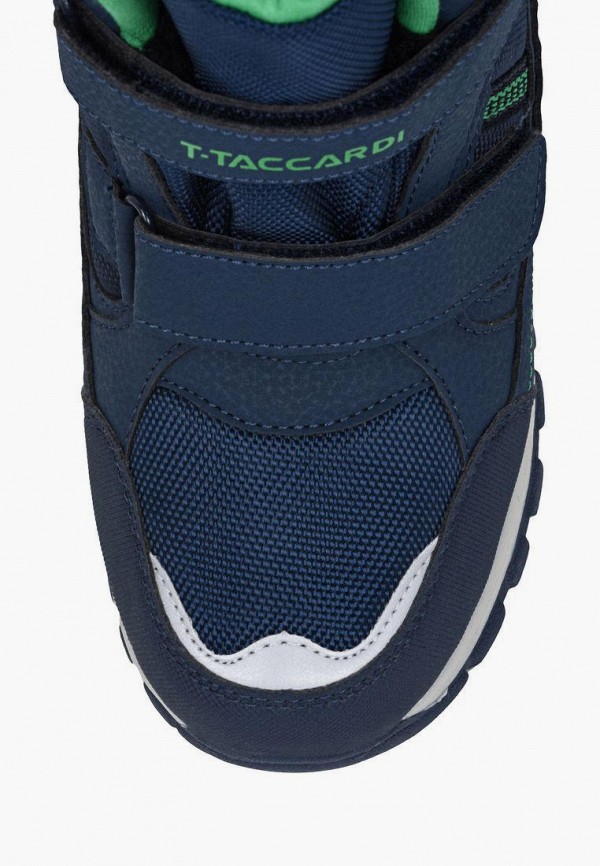 Сапоги T.Taccardi Сапоги T.Taccardi фото