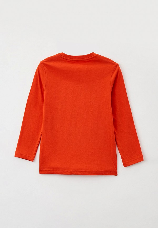 фото Лонгслив element