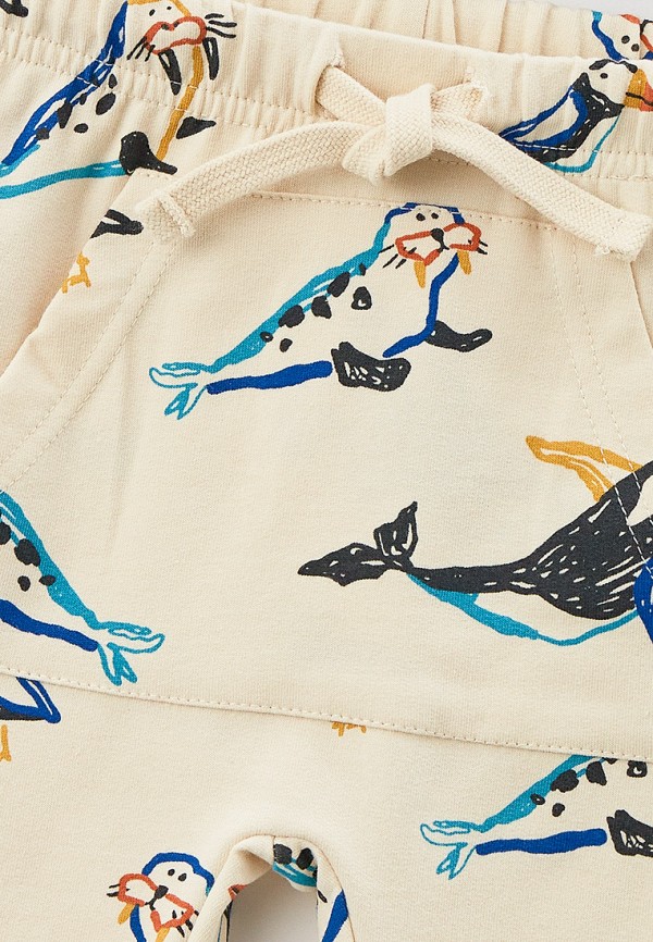 фото Брюки спортивные sela