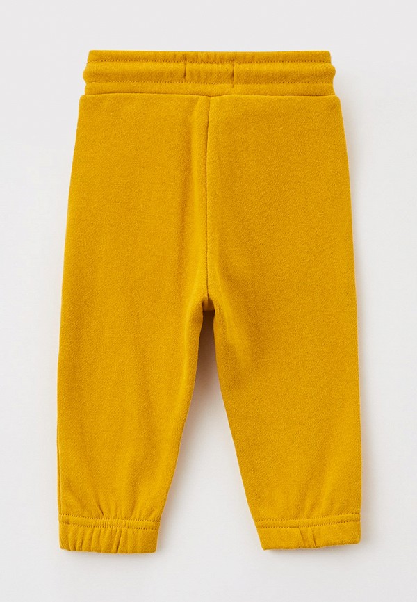 фото Брюки спортивные gloria jeans