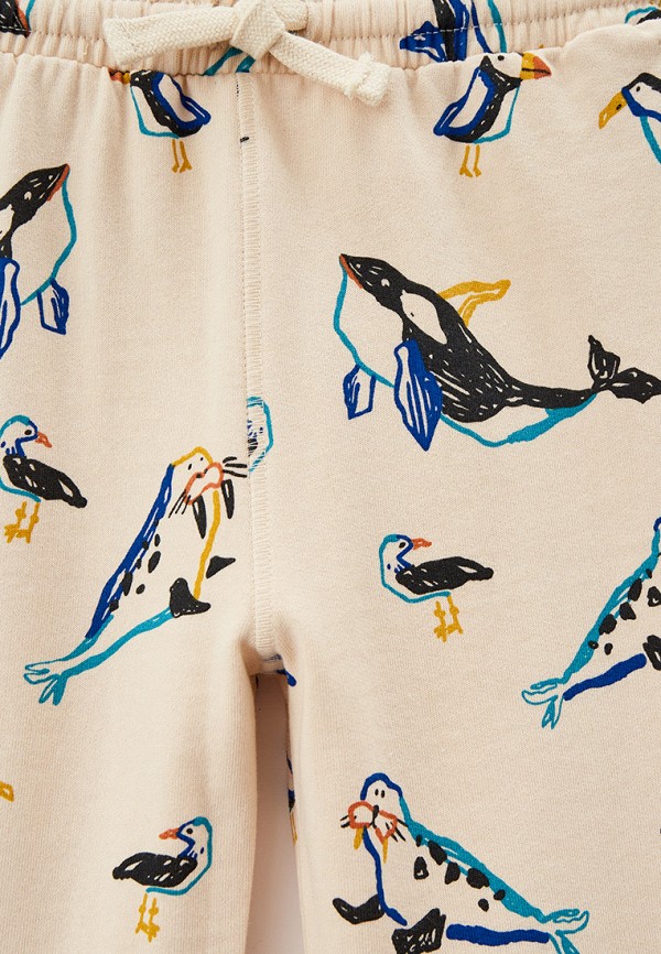 фото Брюки спортивные sela