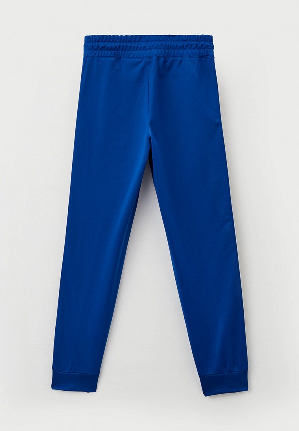 фото Брюки спортивные kappa
