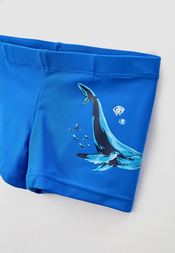 фото Плавки joss