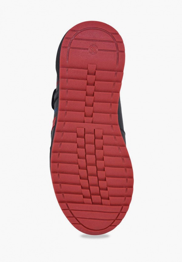 фото Ботинки t.taccardi