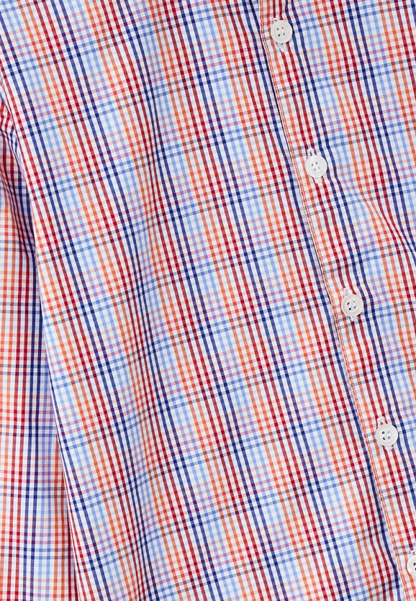 Рубашка для мальчика Tforma цвет разноцветный  Фото 3
