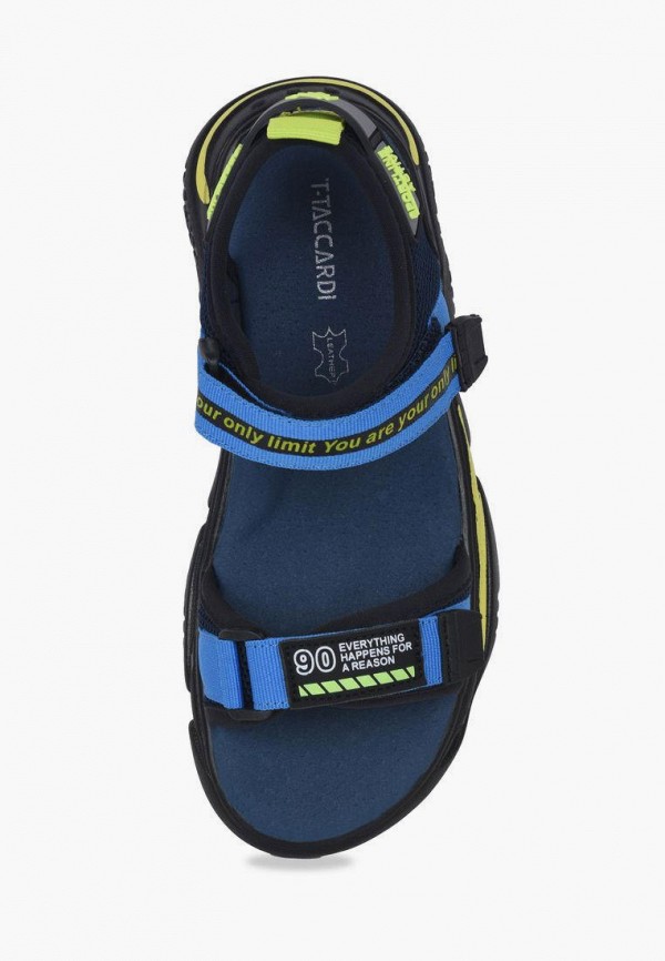 фото Сандалии t.taccardi