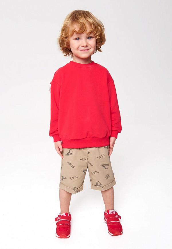 фото Шорты bell bimbo