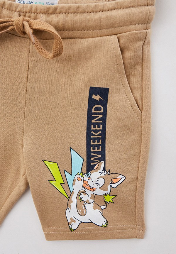 фото Шорты gloria jeans