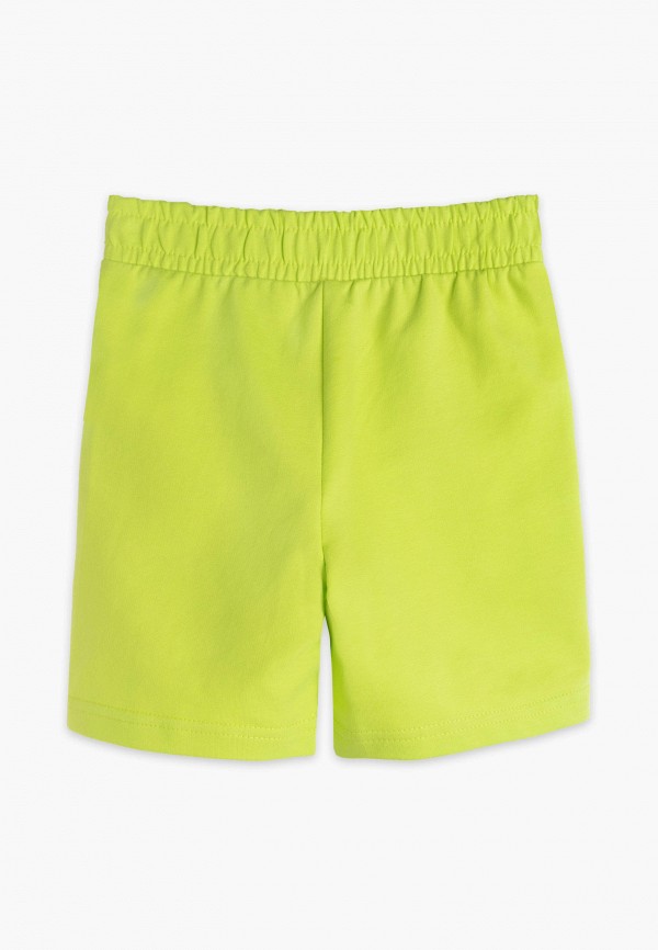 фото Шорты gloria jeans