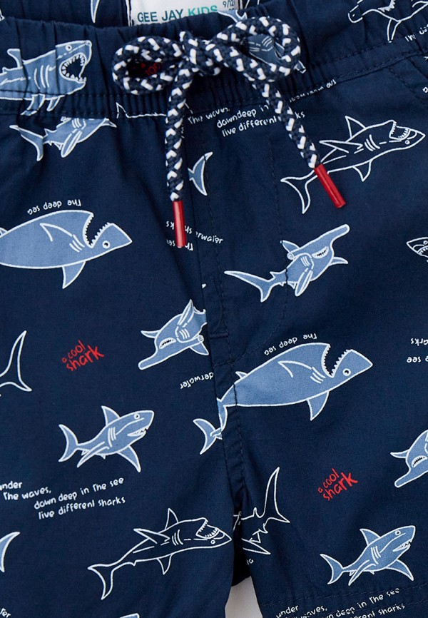 фото Шорты gloria jeans