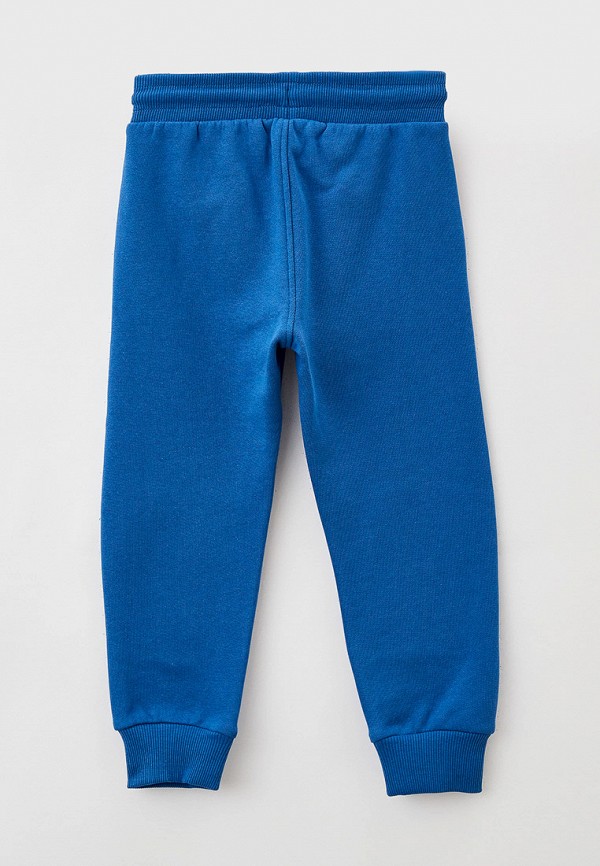 фото Брюки спортивные acoola