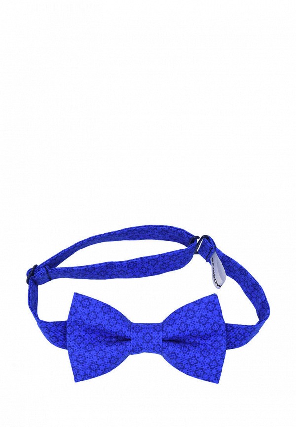 фото Бабочка и подтяжки rainbowtie