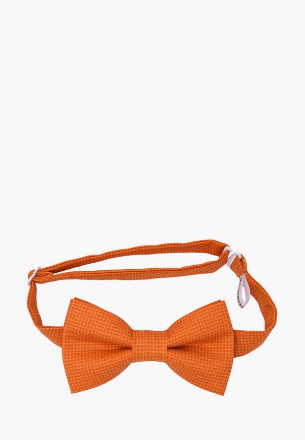 фото Бабочка и подтяжки rainbowtie