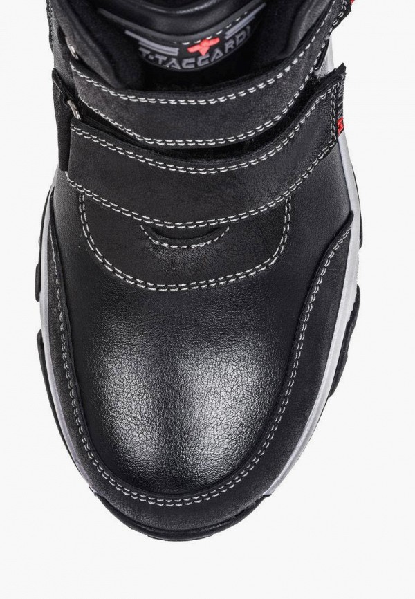 фото Ботинки t.taccardi