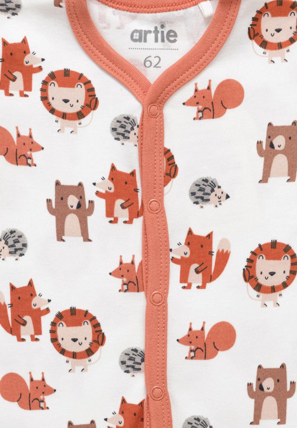 фото Комбинезон бельевой artie