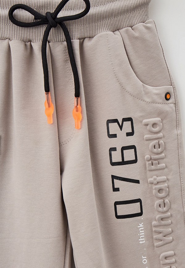 фото Брюки спортивные beneti