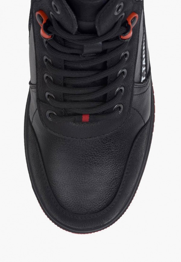 фото Кеды t.taccardi