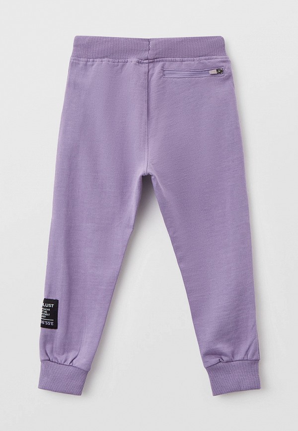 фото Брюки спортивные acoola