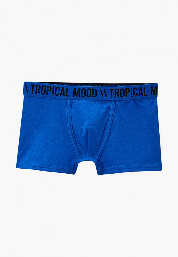 фото Трусы 2 шт. acoola