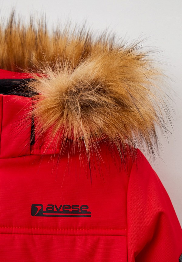 фото Парка avese