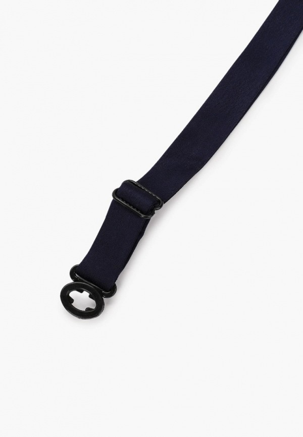 фото Бабочка choupette