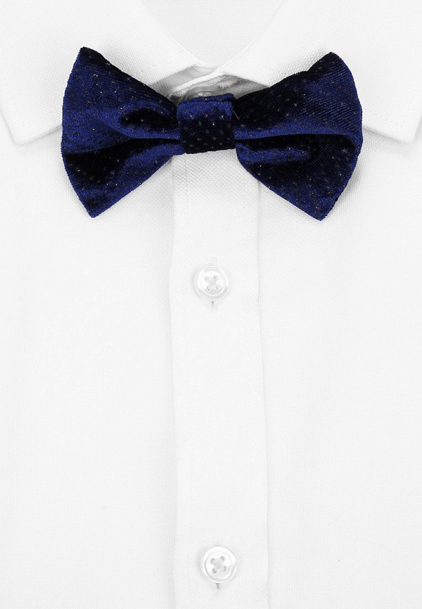 фото Бабочка choupette