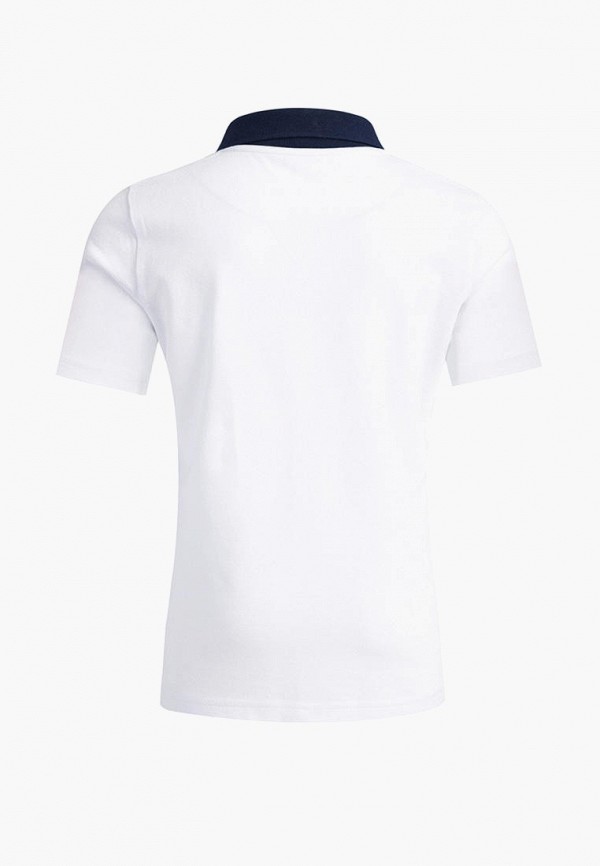 фото Поло апрель