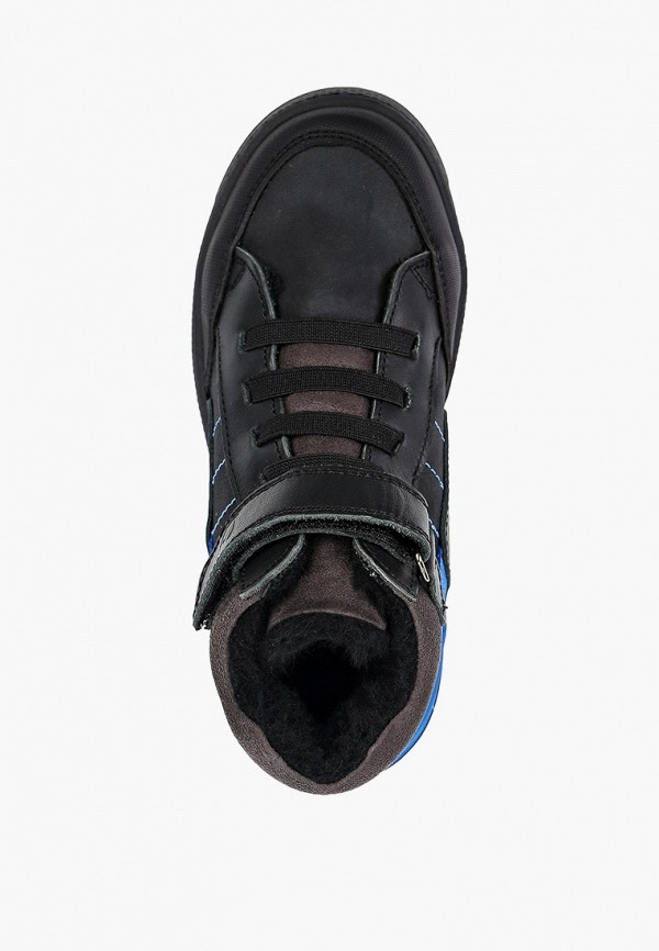 фото Кеды dreamurr