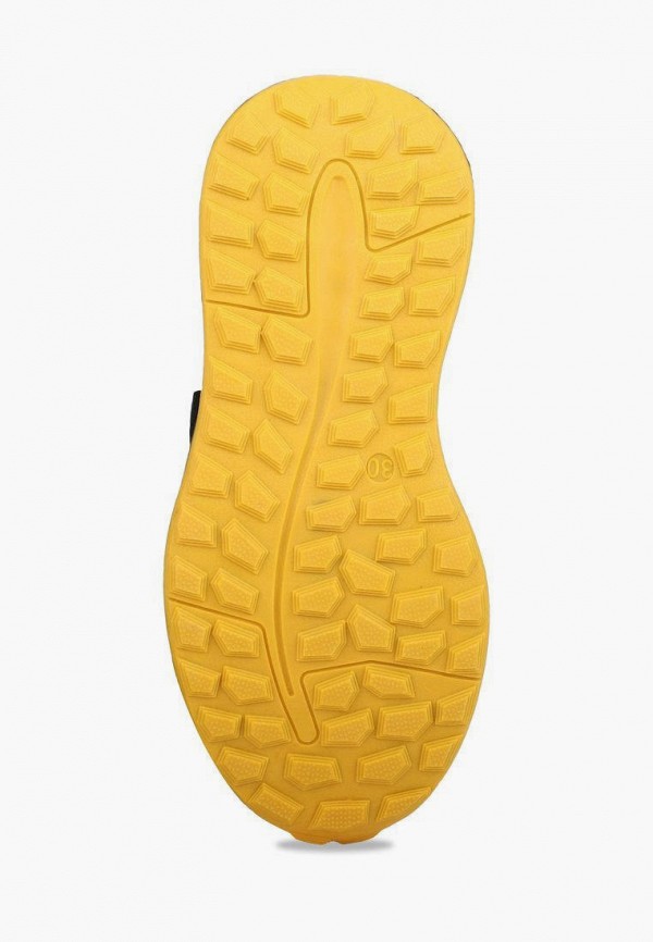 фото Кроссовки t.taccardi