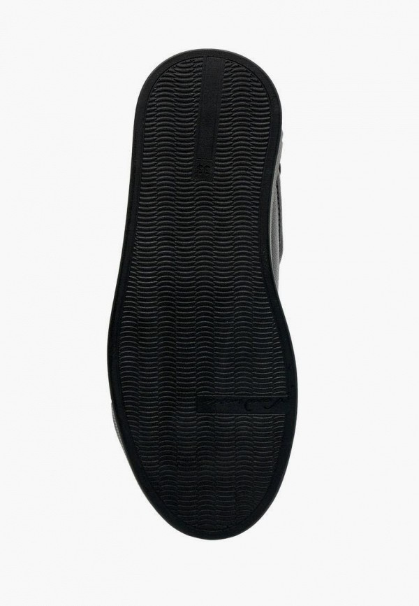 фото Кеды alessio nesca