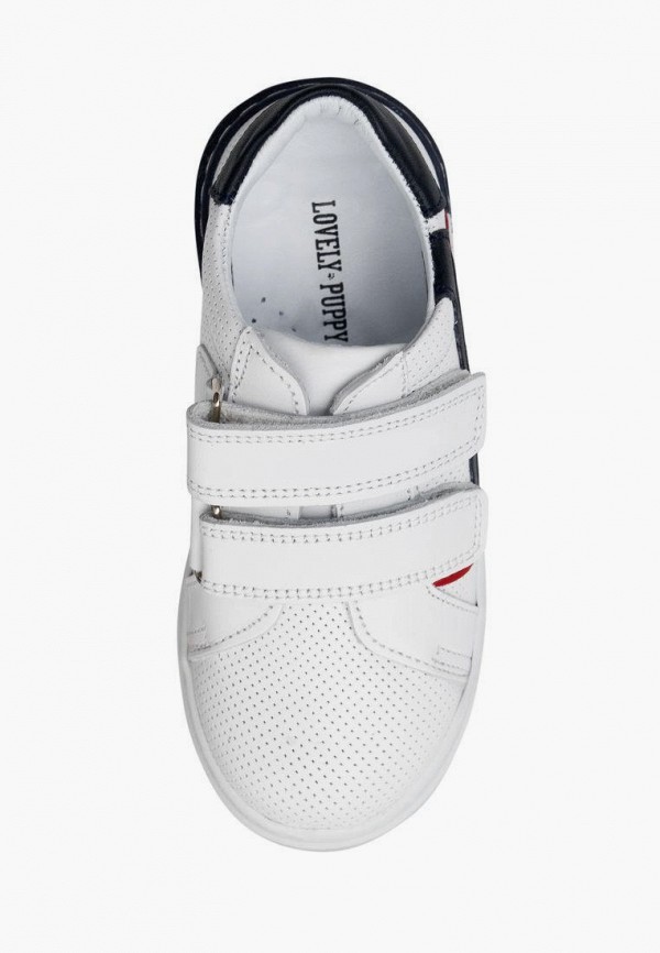 фото Кеды lovely puppy