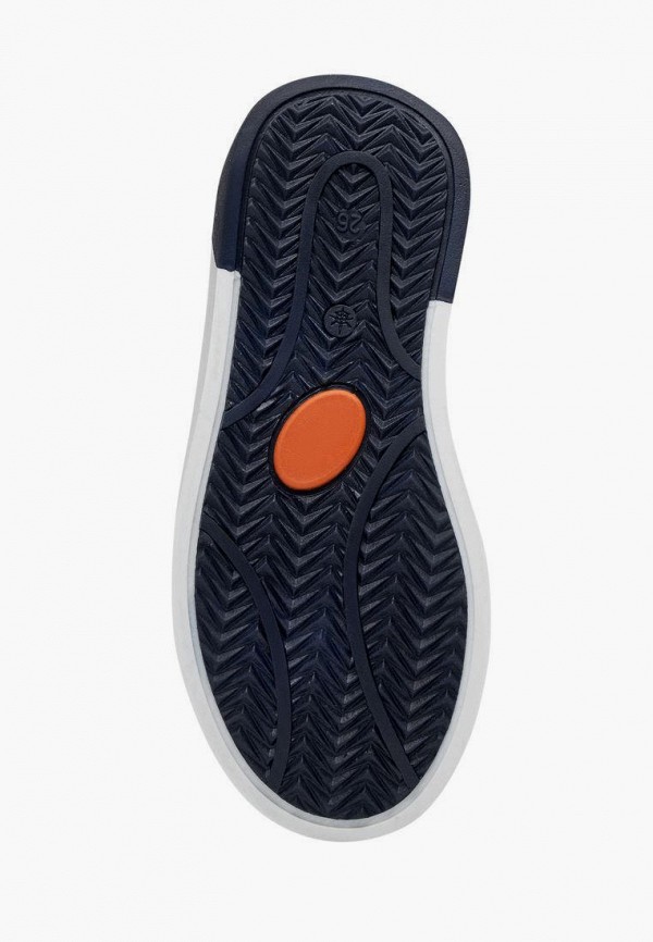 фото Кеды lovely puppy